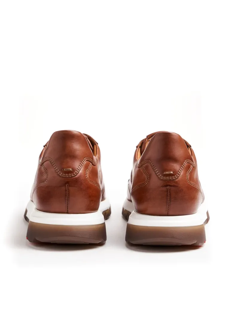 LLOYD ALBANY brown Outlet