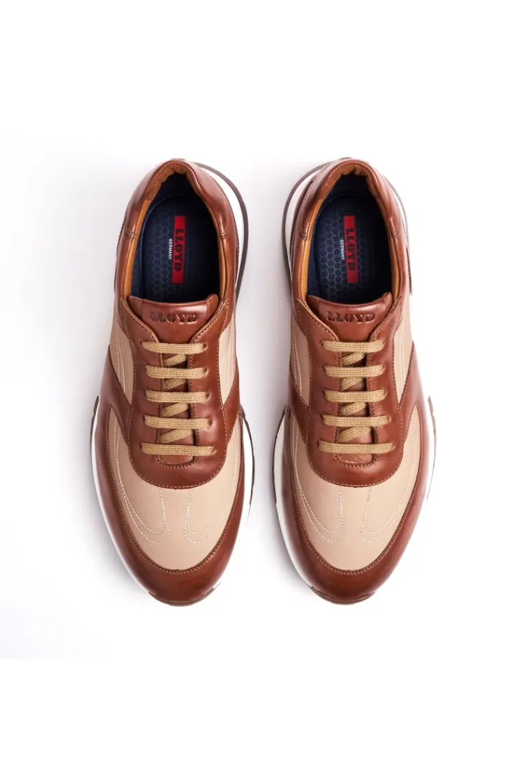 LLOYD ALBANY brown Outlet