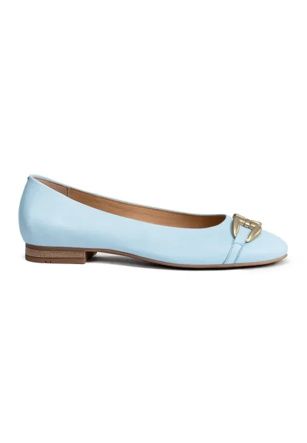 LLOYD BALLERINA blue Outlet