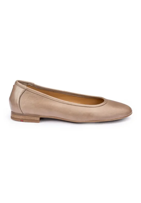 LLOYD BALLERINA brown Best Sale