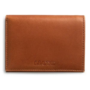 LLOYD CARDHOLDER brown Discount