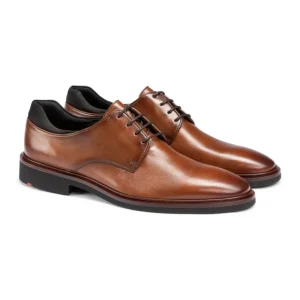 LLOYD DERBY brown Cheap