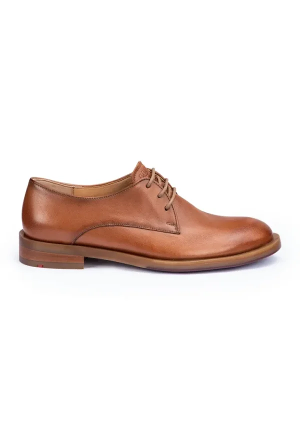 LLOYD HALF SHOES brown New