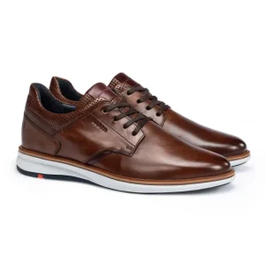 LLOYD KAYOR brown Flash Sale