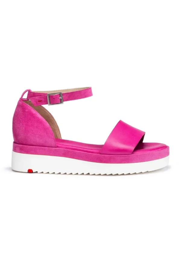 LLOYD SANDALS pink Fashion