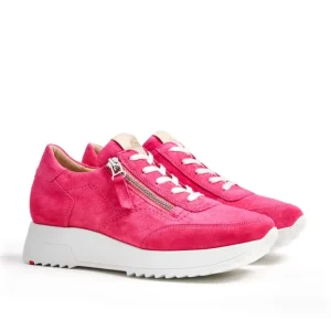 LLOYD SNEAKER pink Store