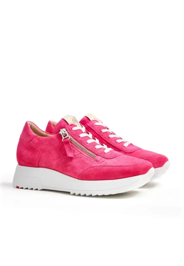 LLOYD SNEAKER pink Store