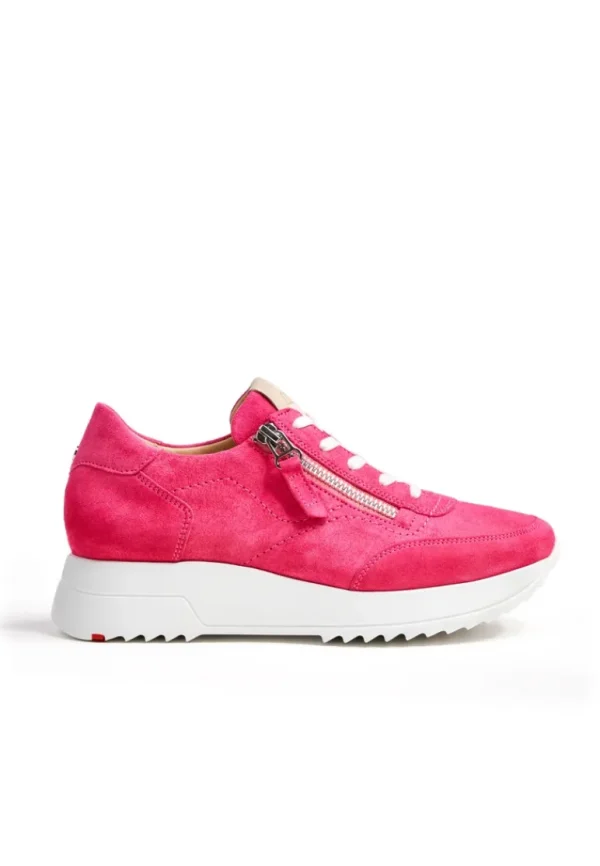 LLOYD SNEAKER pink Store