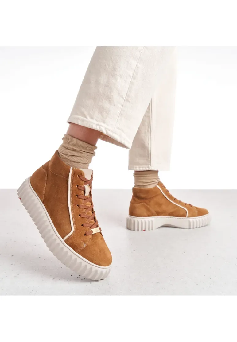 LLOYD SNEAKERS brown Store