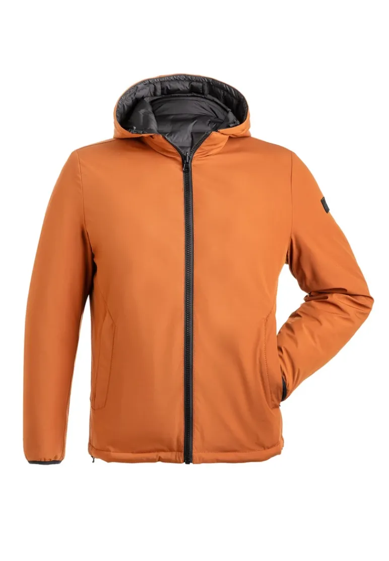 LLOYD Ted grey Discount