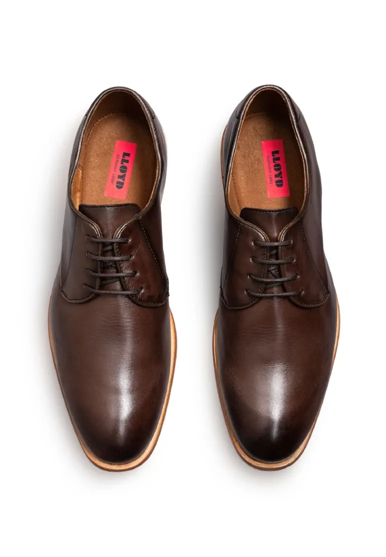 LLOYD TERRY brown Shop