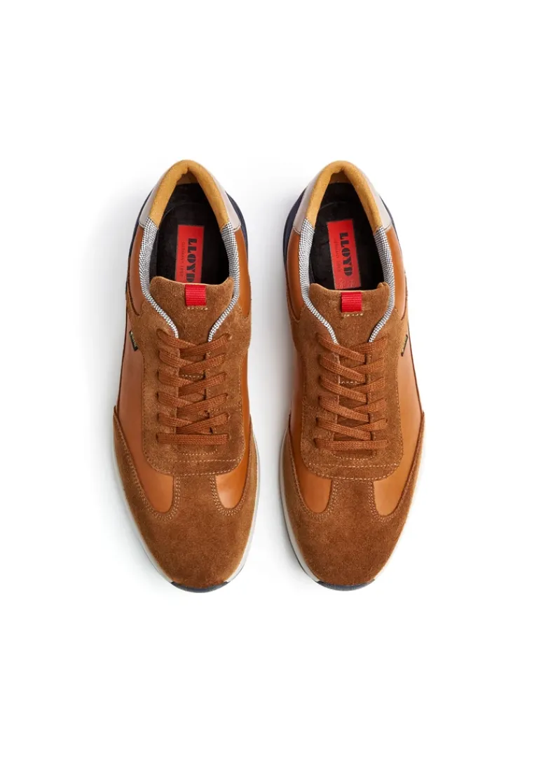 LLOYD VEDEA brown Shop